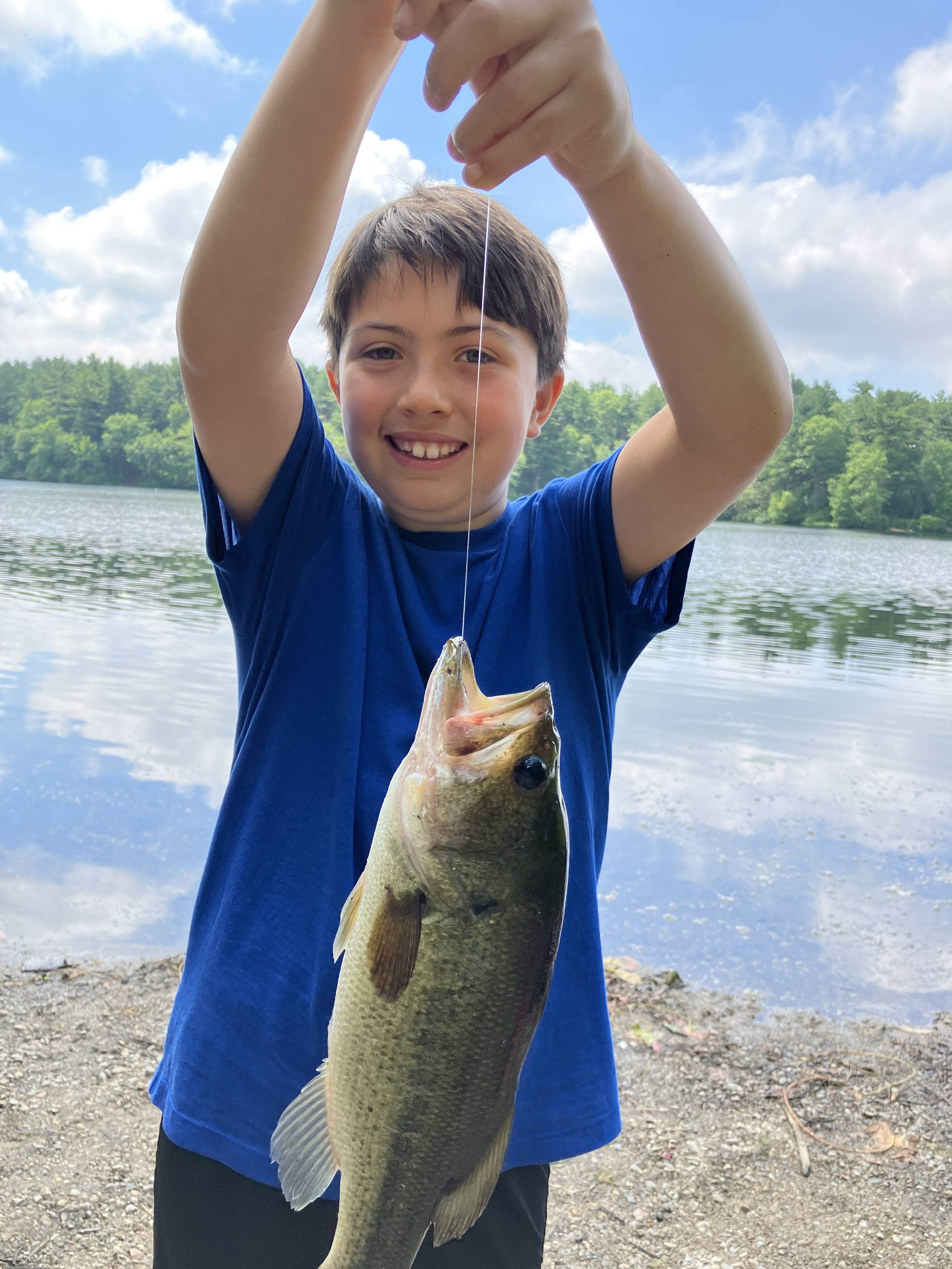 ljLargemouthPic.png