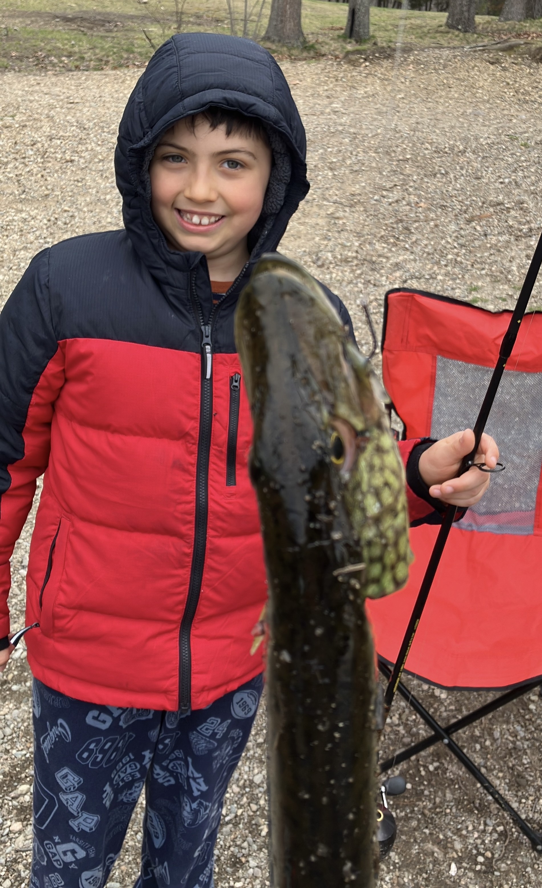 ljPickerel.jpg