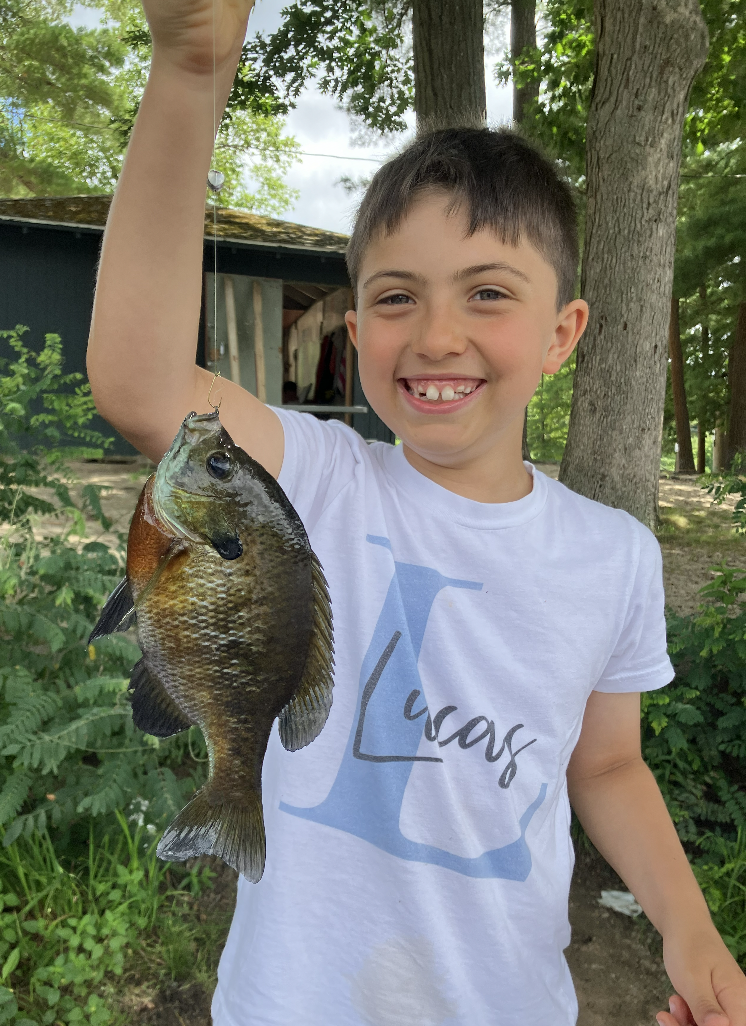 ljTrophyBluegill.png